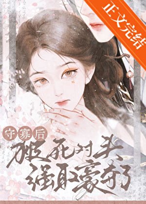 守寡后被死对头强取豪夺了
